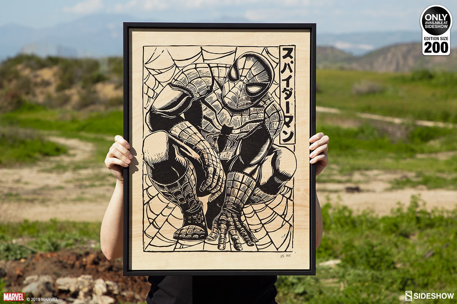 Spider-Man Print on Wood Variant
