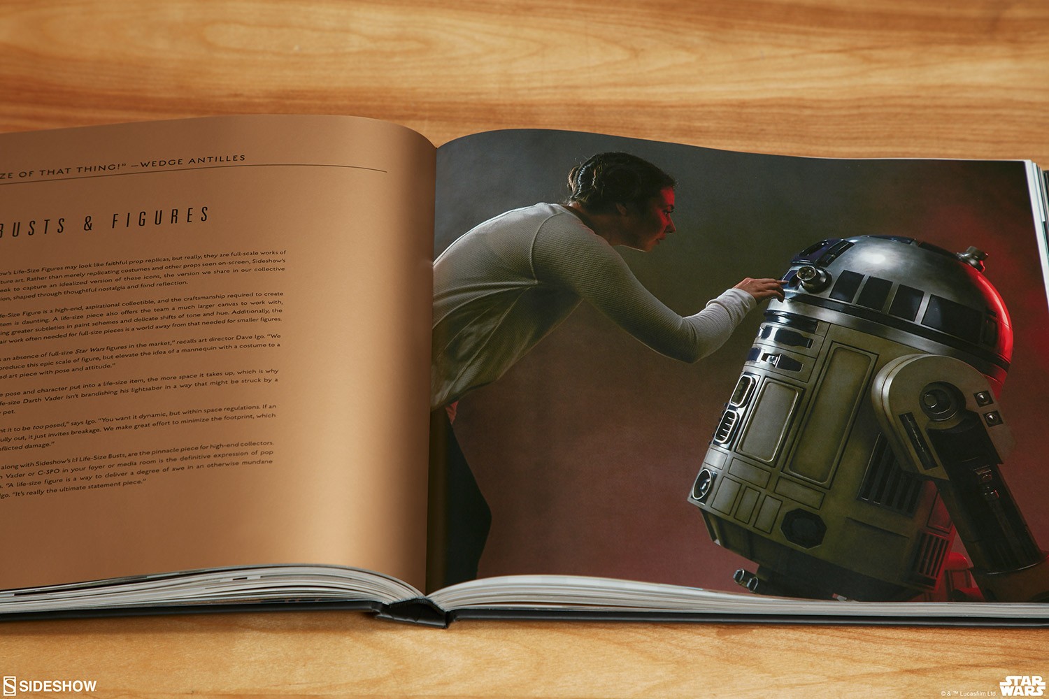 Star Wars: Collecting a Galaxy - The Art of Sideshow- Prototype Shown
