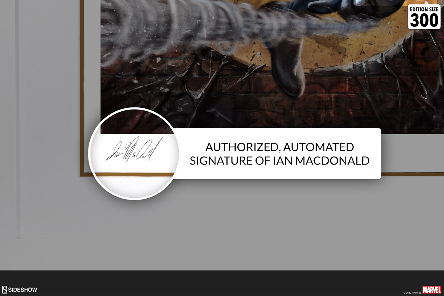 The Amazing Spider-Man: #300 Tribute Exclusive Edition View 6
