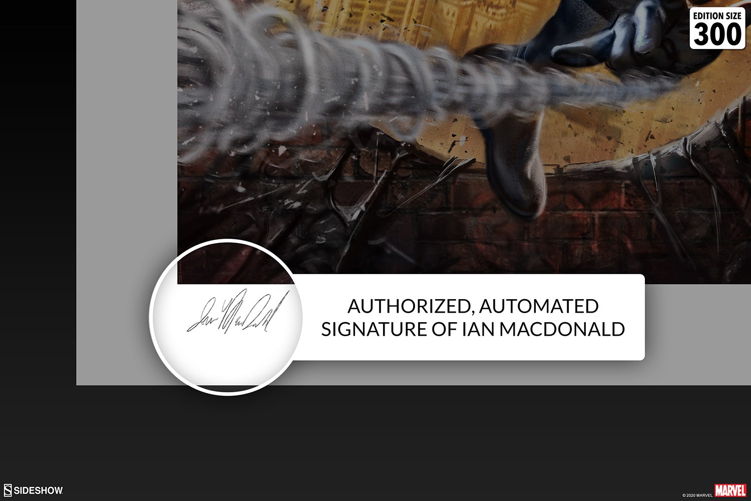 The Amazing Spider-Man: #300 Tribute Exclusive Edition View 4