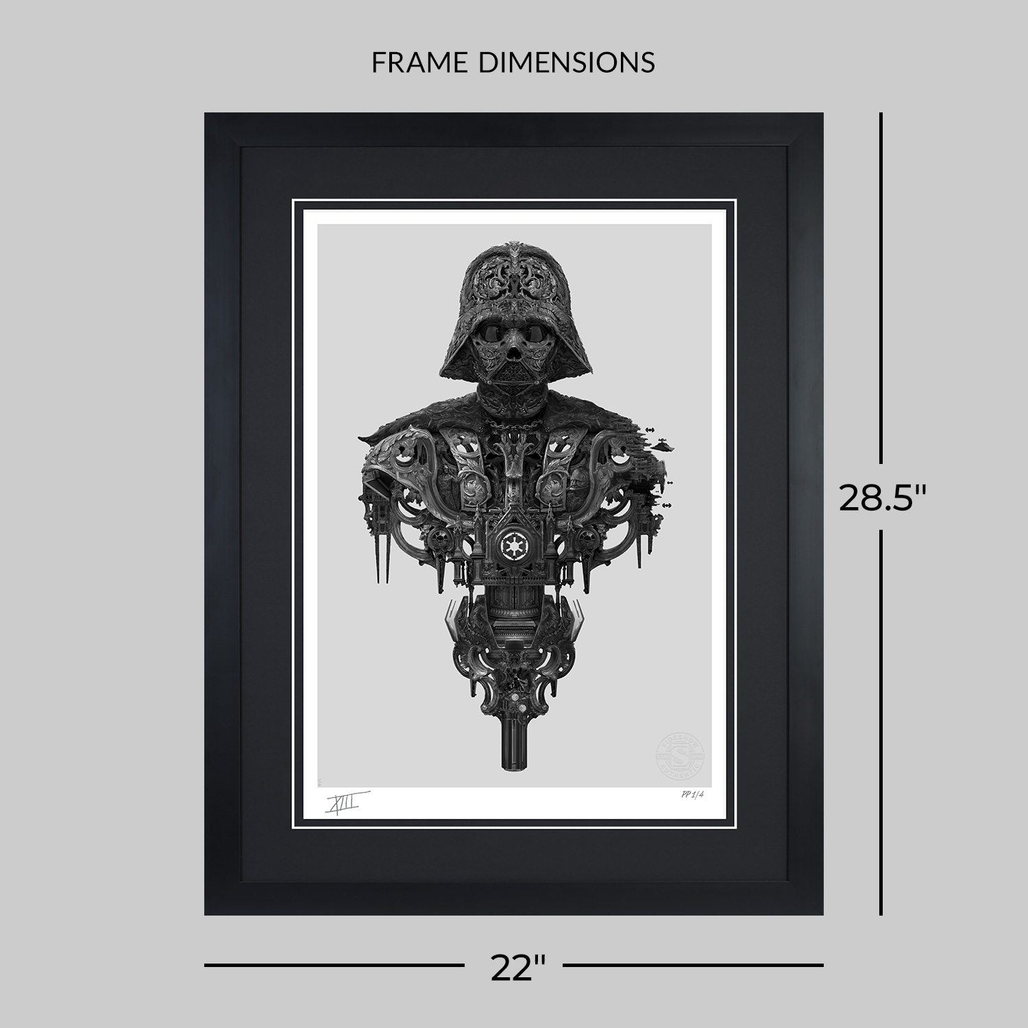 Star Wars Darth Vader™ Art Print  Exclusive Edition View 2