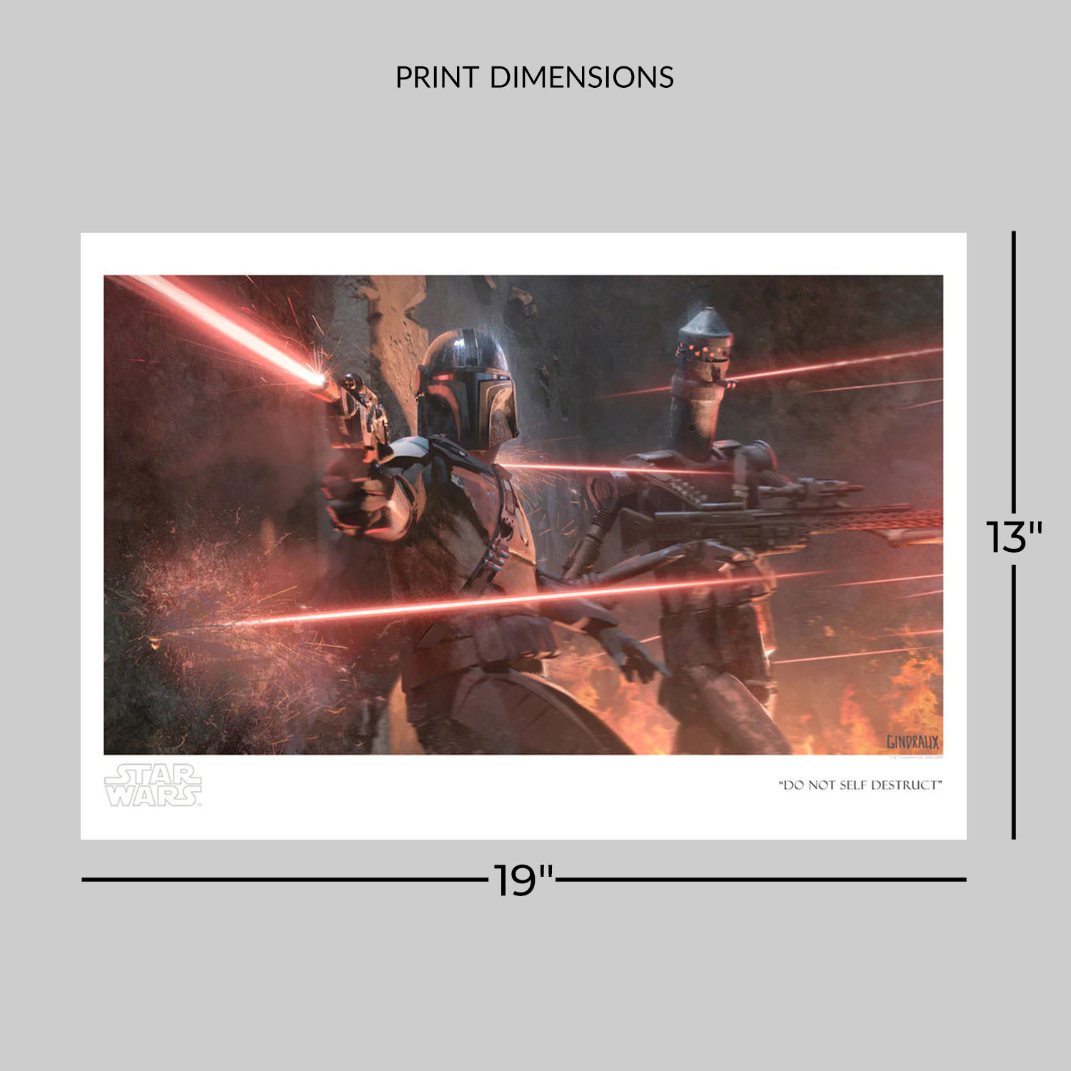 Star Wars Do Not Self Destruct Art Print  View 2