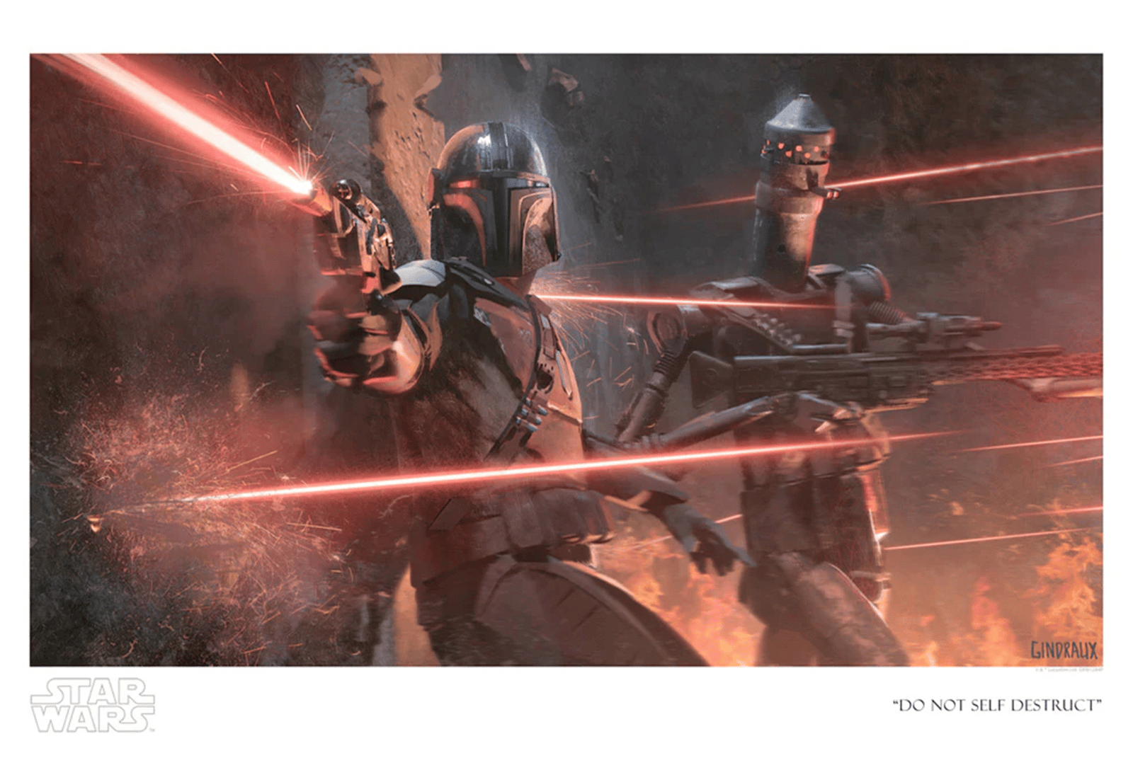 Star Wars Do Not Self Destruct Art Print  View 3