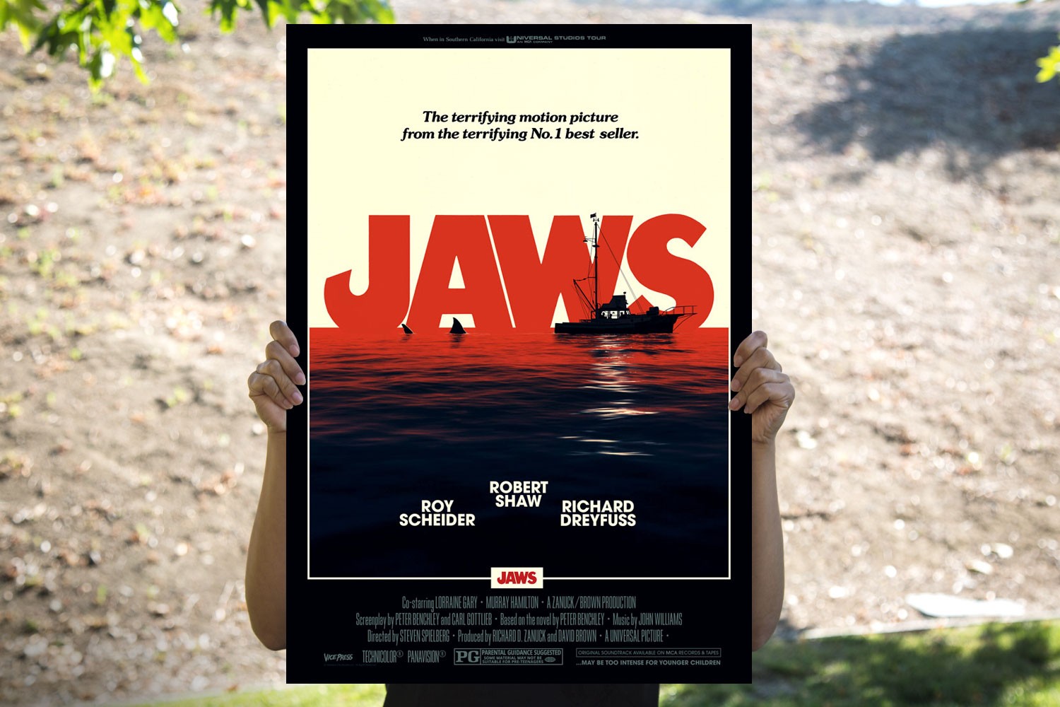 Jaws View 1