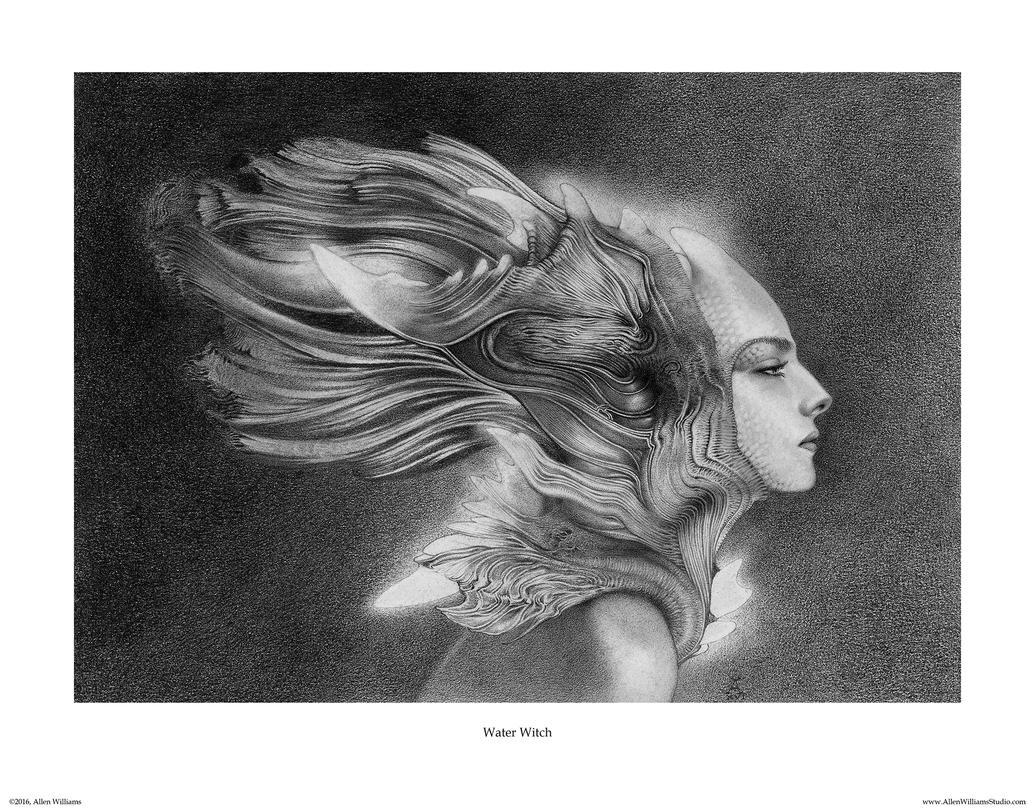 Water Witch View 2