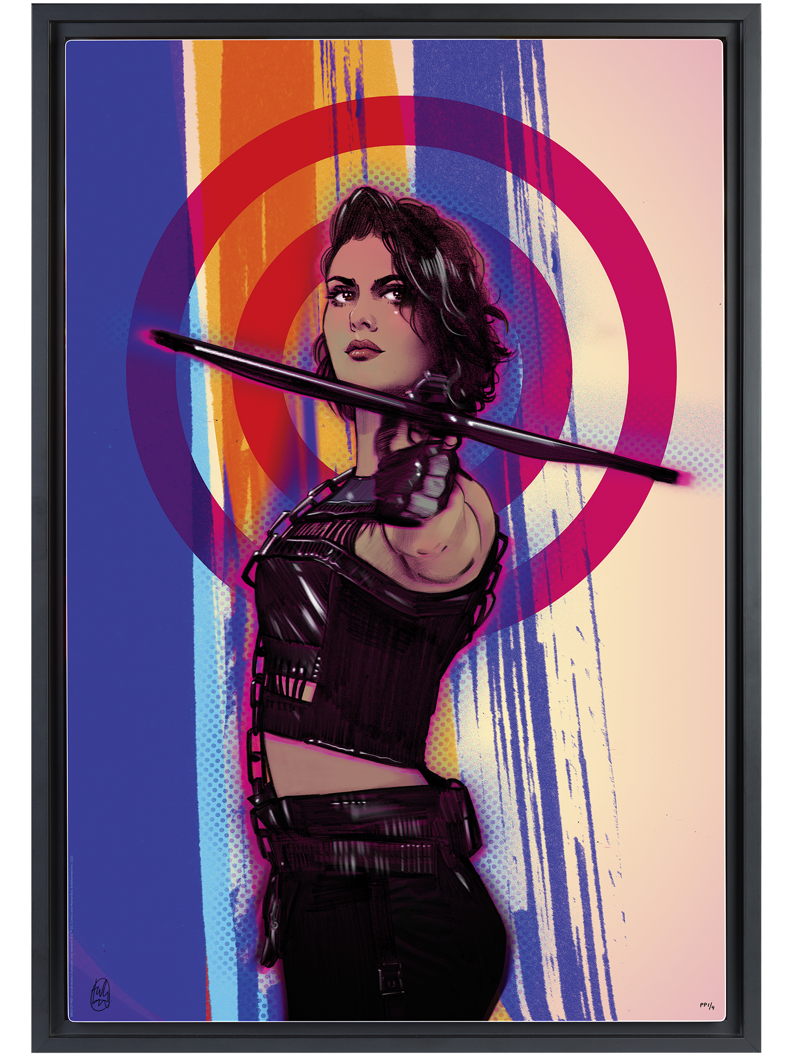 DC Comics Birds of Prey: Huntress Art Print  View 2