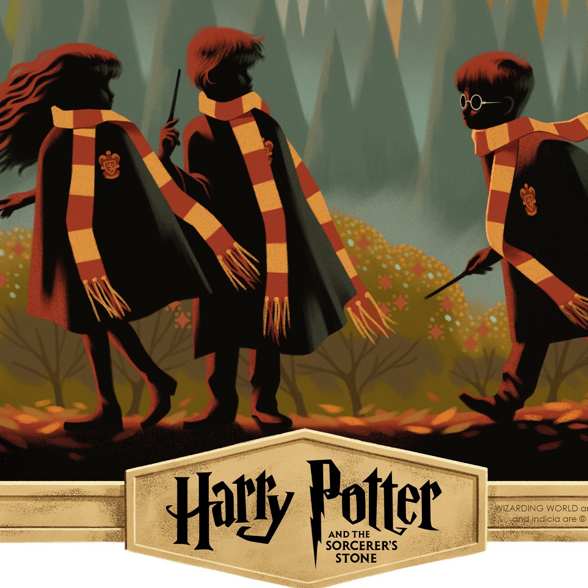 Harry Potter Harry Potter and the Sorcerer's Stone Movie Poster  Exclusive Edition View 5