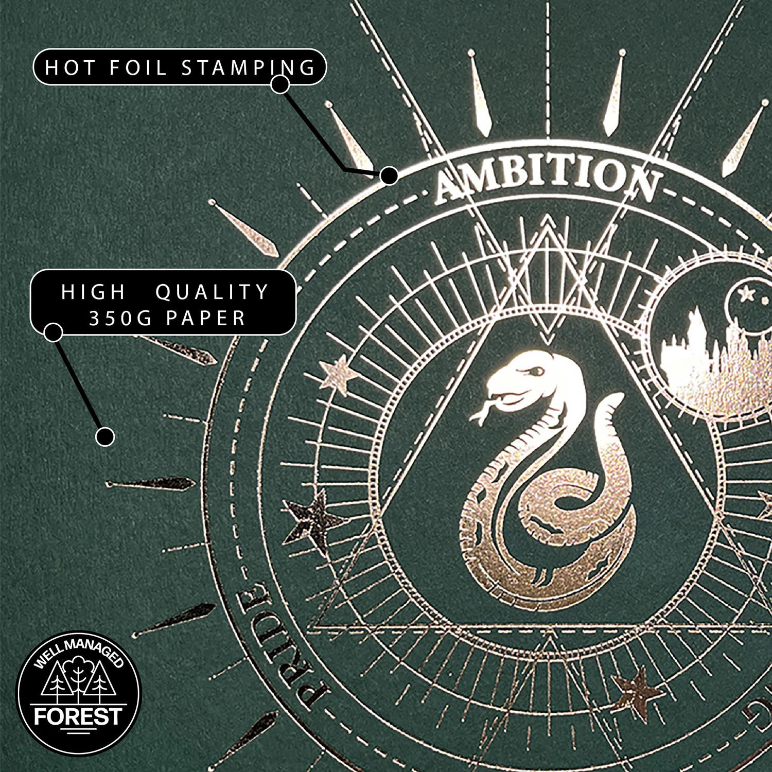Harry Potter Harry Potter™: Slytherin House Foil Letterpress Poster Art Print  View 3