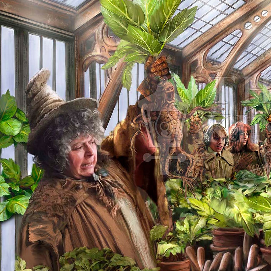 Harry Potter Harry Potter™ Hogwarts Greenhouse™ Art Print  View 3