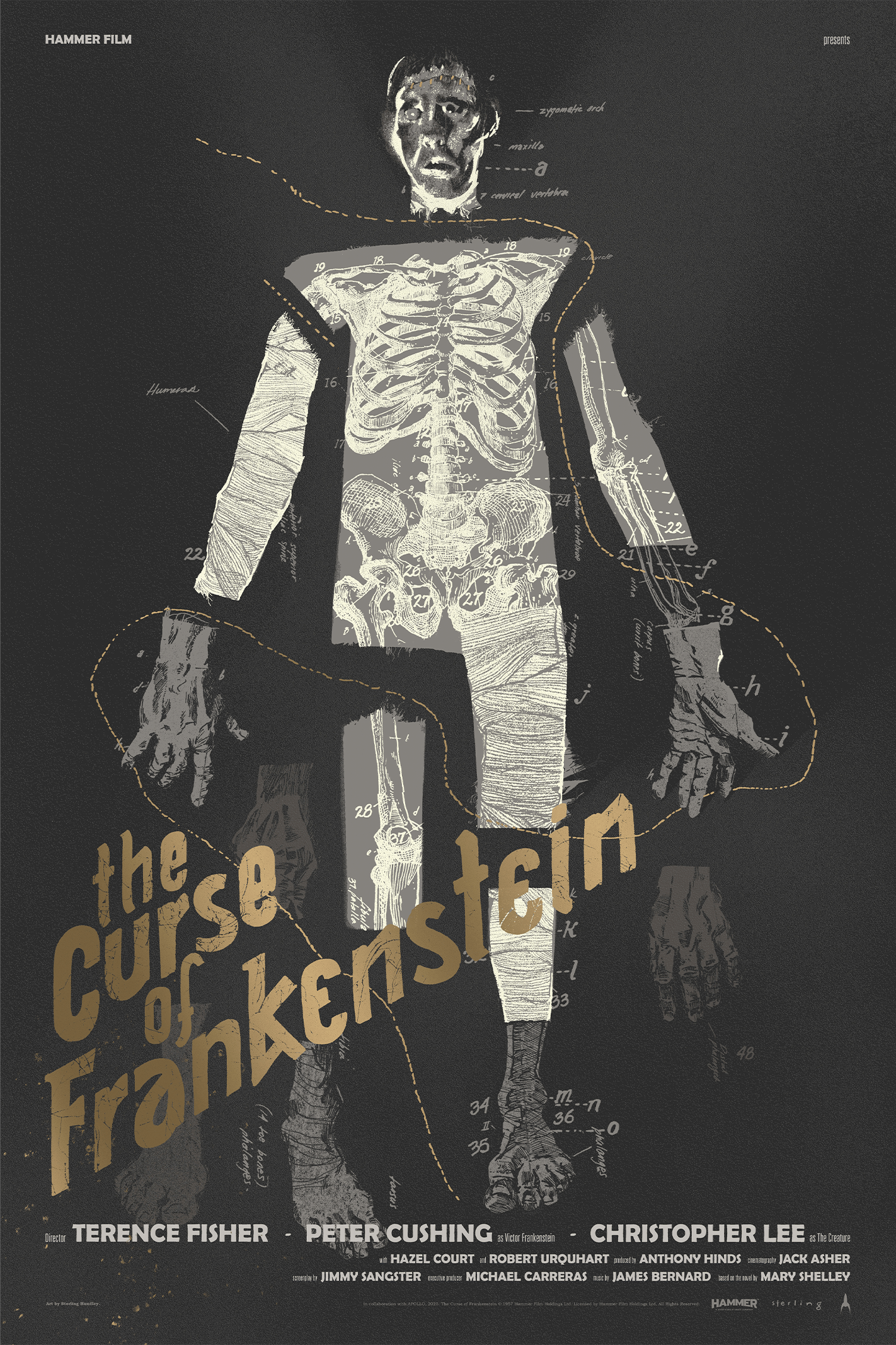 Hammer The Curse of Frankenstein Screenprint (Gold Metallic Variant) Movie Poster  View 4