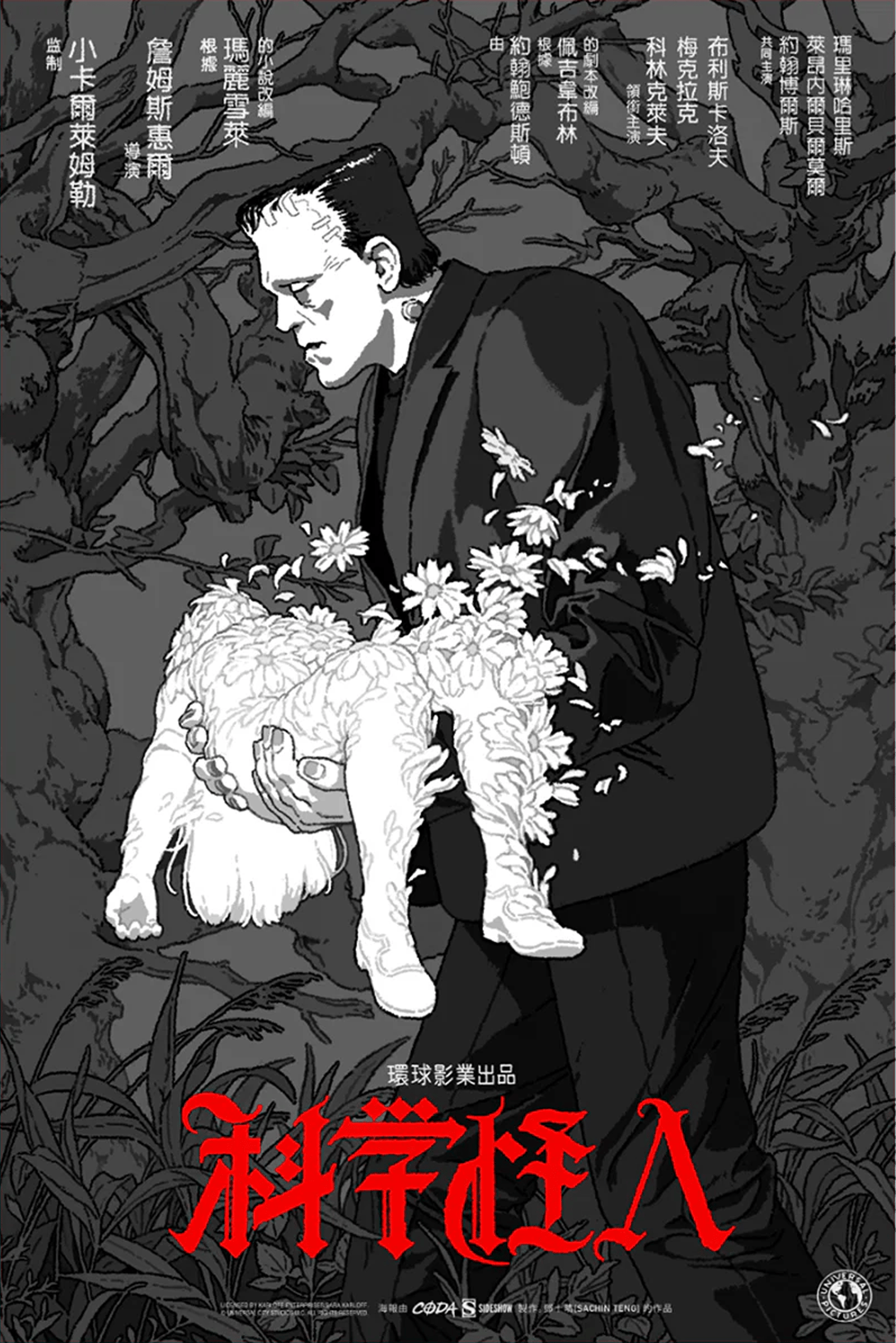 Universal Monsters Frankenstein Movie Poster  View 4