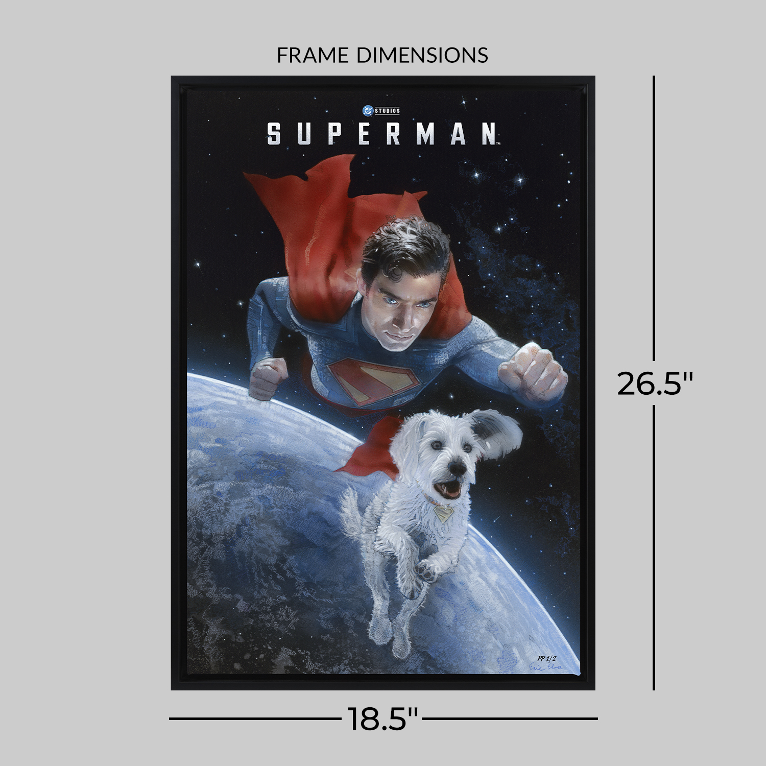 DC Comics Superman™ and Krypto™ Movie Poster  Exclusive Edition View 2