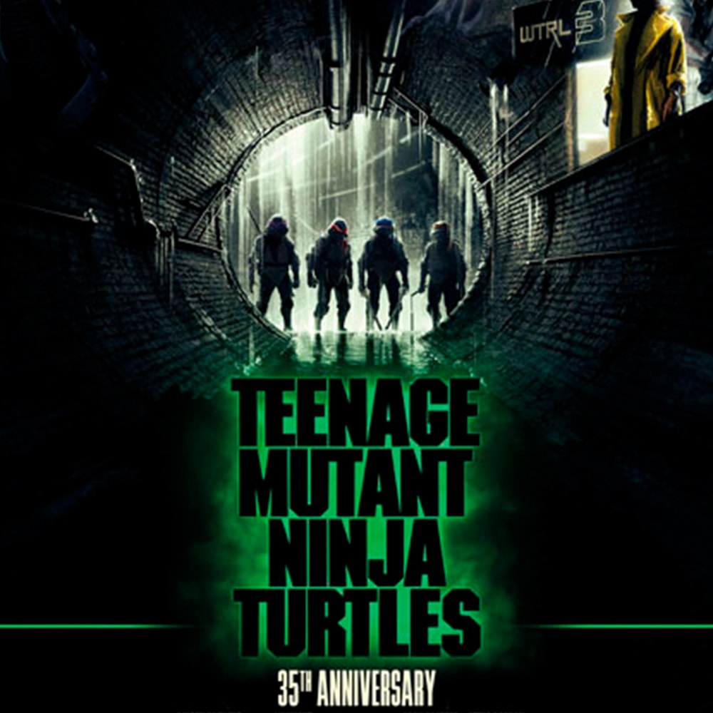 Teenage Mutant Ninja Turtles Teenage Mutant Ninja Turtles Movie Poster  View 4