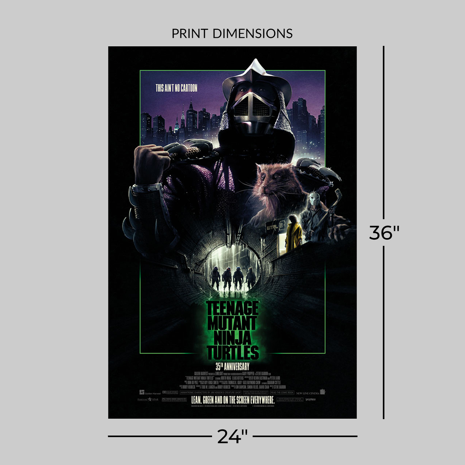 Teenage Mutant Ninja Turtles Teenage Mutant Ninja Turtles Movie Poster  View 2