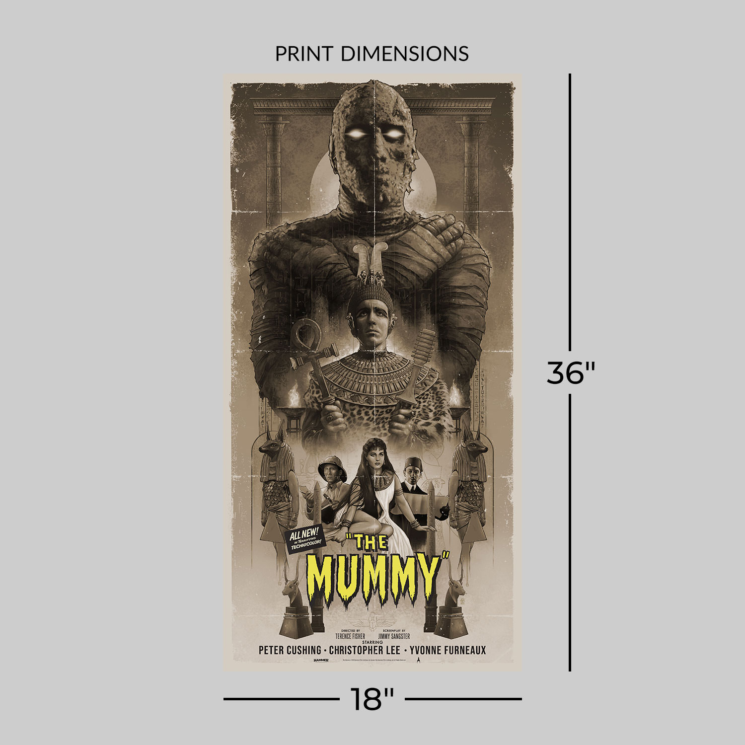 Hammer The Mummy (Variant) Movie Poster  View 2