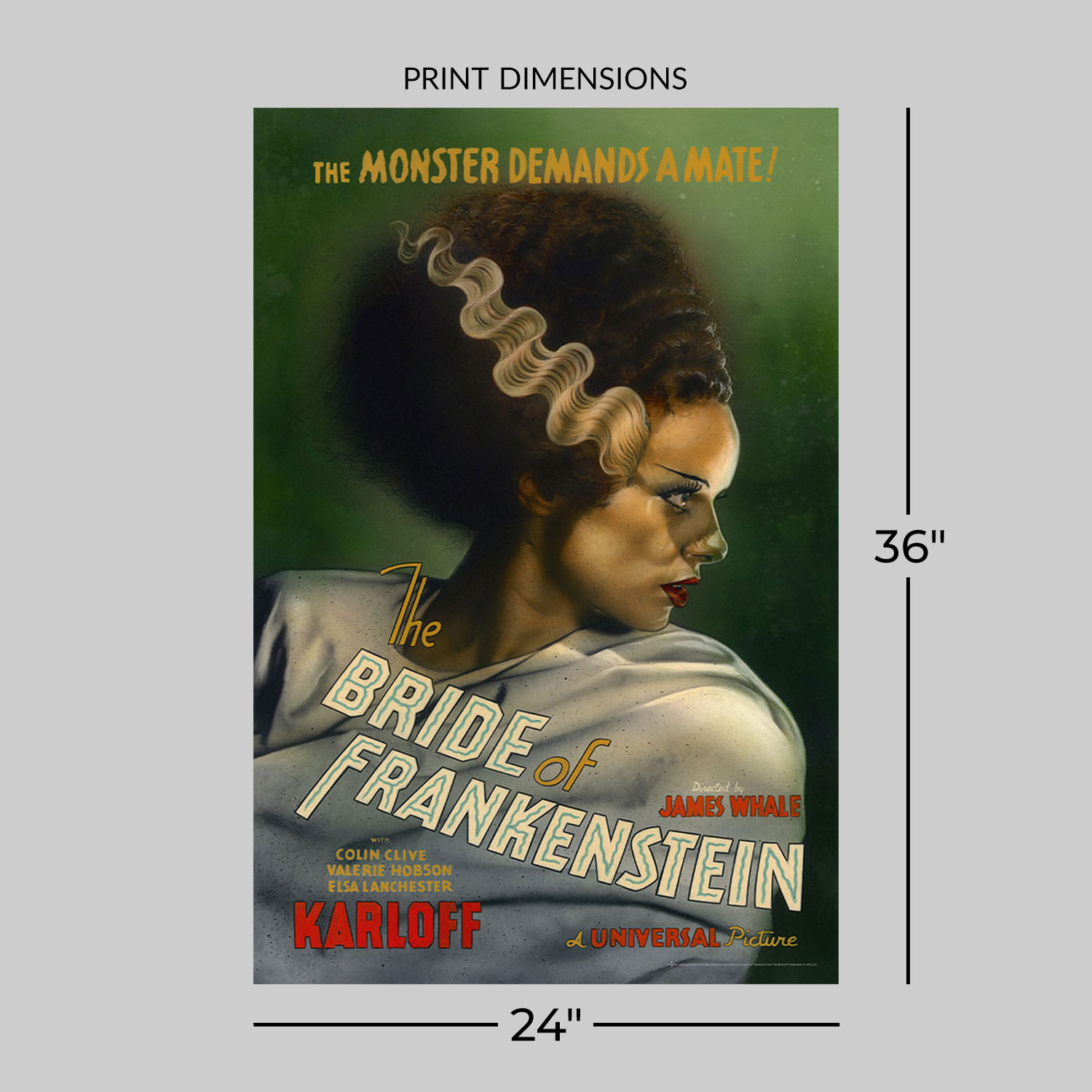 Universal Monsters Universal Monsters: The Bride of Frankenstein Movie Poster  View 2