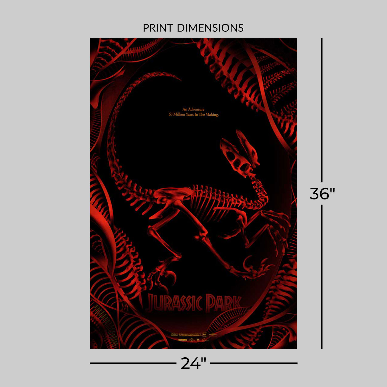 Jurassic Park Jurassic Park Movie Poster  View 2