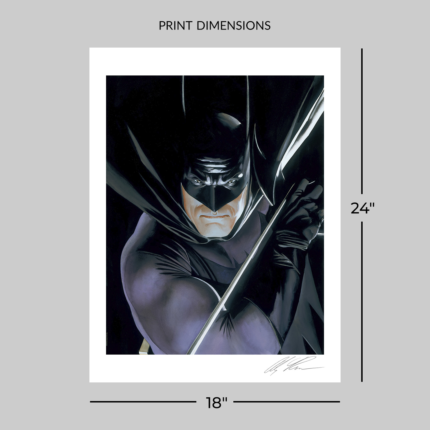 DC Comics Batman™: Mythology Art Print  View 2