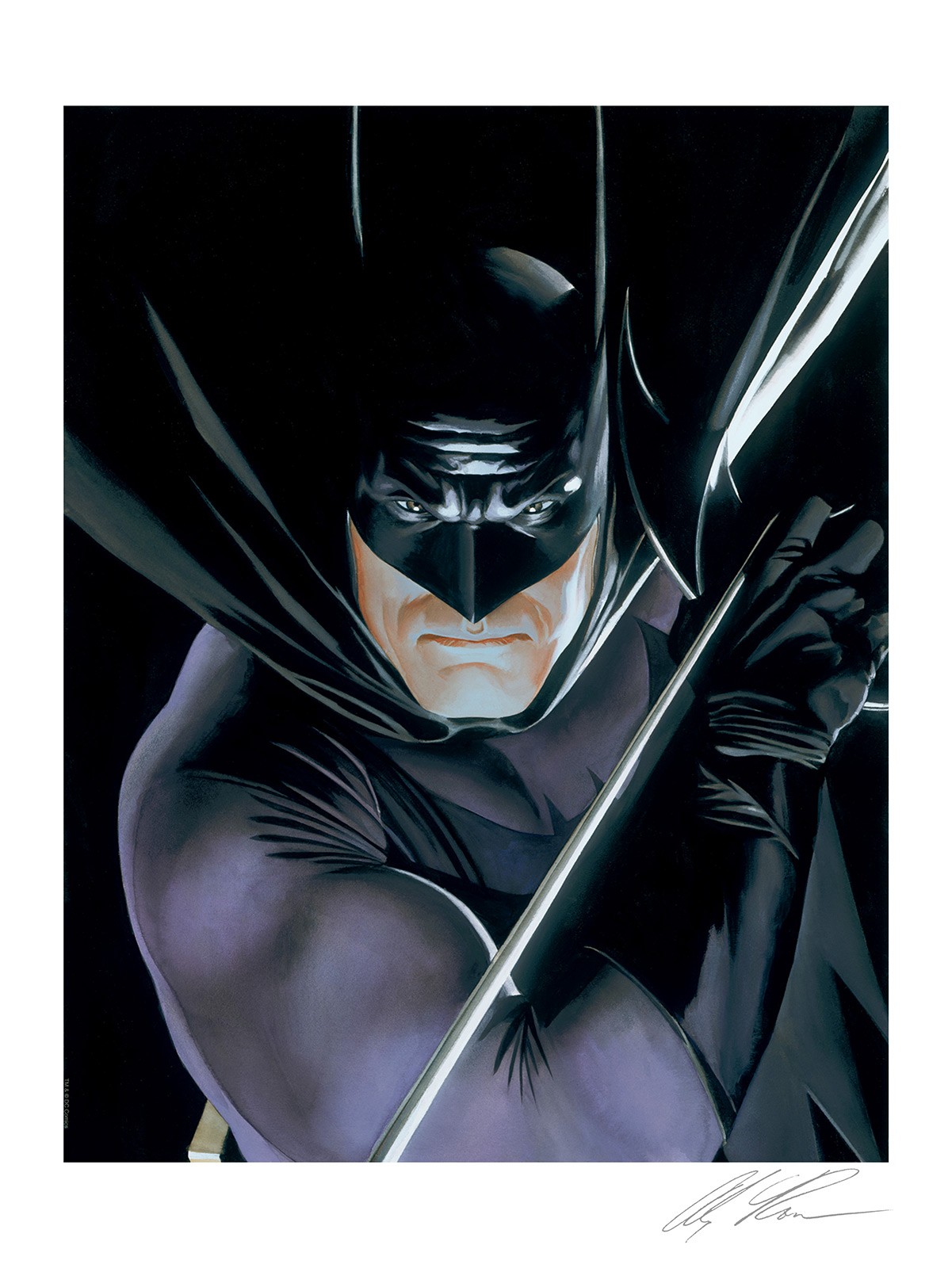 DC Comics Batman™: Mythology Art Print  View 5