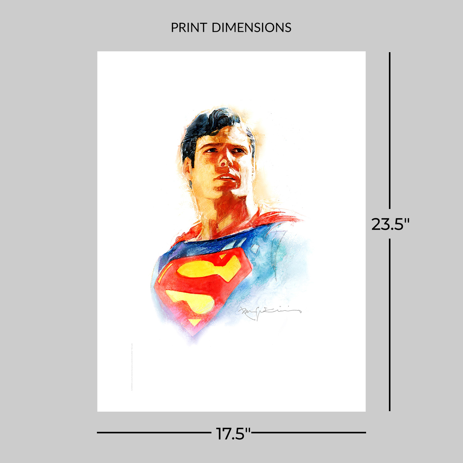 DC Comics Superman™: Skyward Art Print  View 2