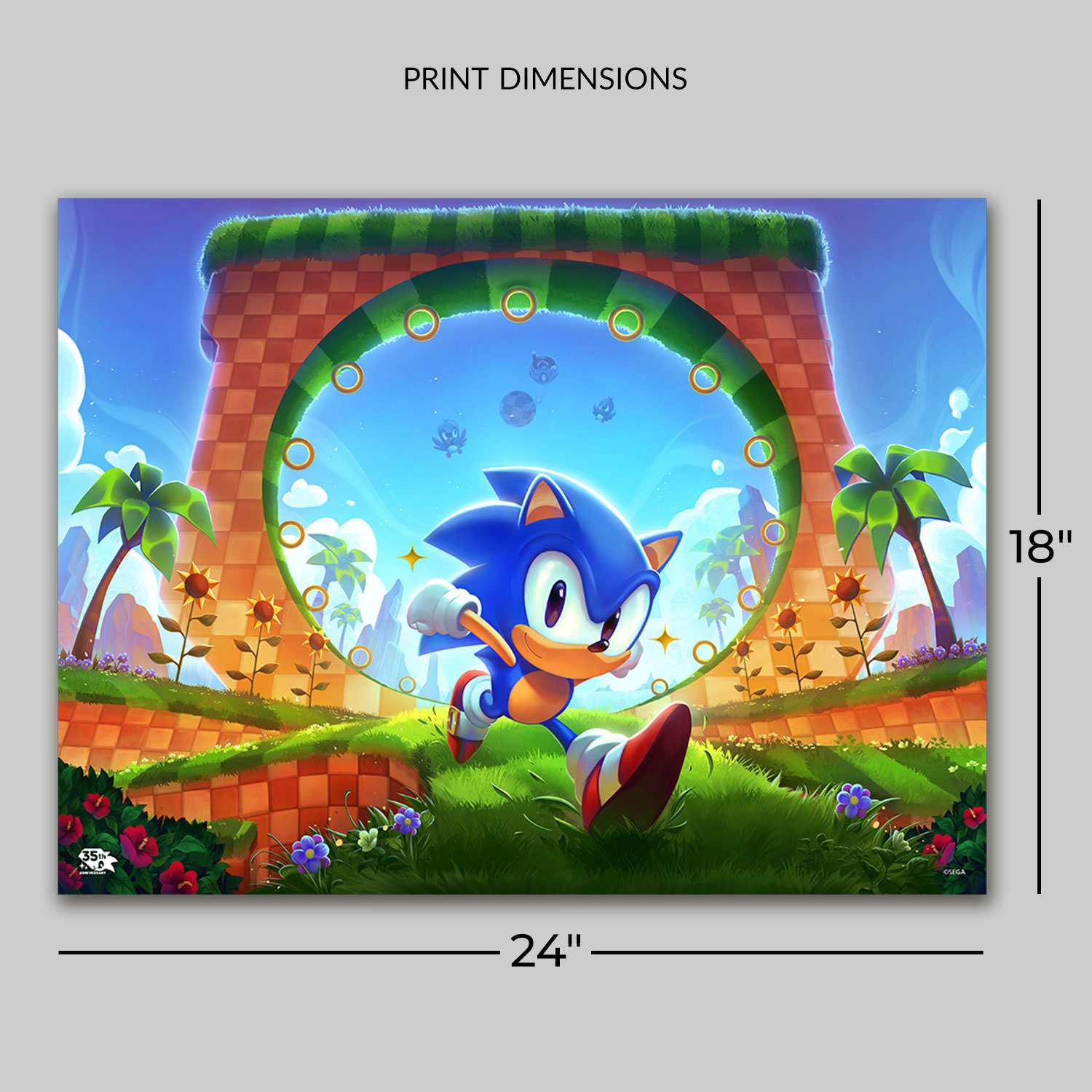 Sonic the Hedgehog Sonic the Hedgehog: First Loop-de-Loop Art Print  View 2