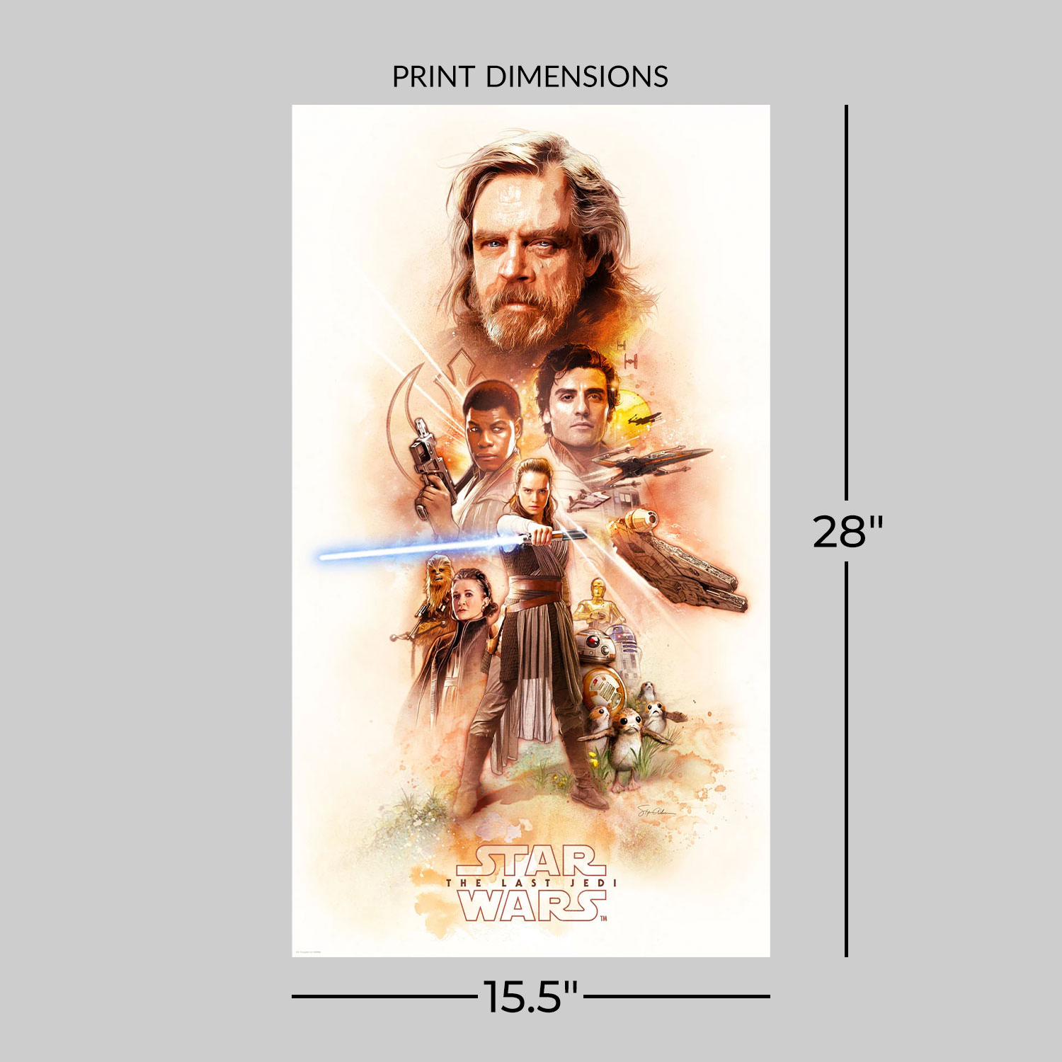 Star Wars Finding a Balance Movie Poster  View 2