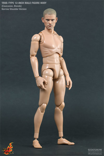 Hot Toys True Type 1/6 Figure Body Caucasian Men Narrow Shoulder Version V2  Toy for sale online | eBay
