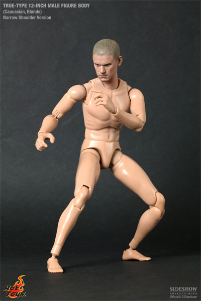 True-Type Male Figure Body Sixth Scale Figure by Hot Toys