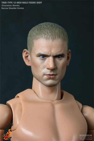 True-Type Male Figure Body Sixth Scale Figure  View 8
