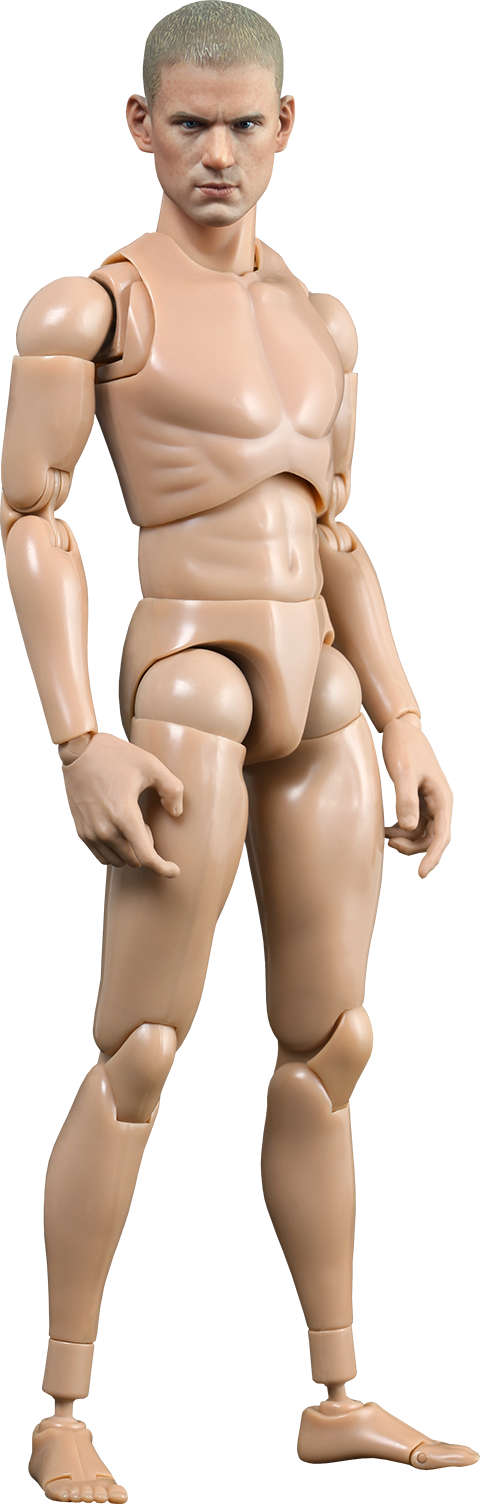 Hottoys ホットトイズ True Type 素体 1/6 フィギュア