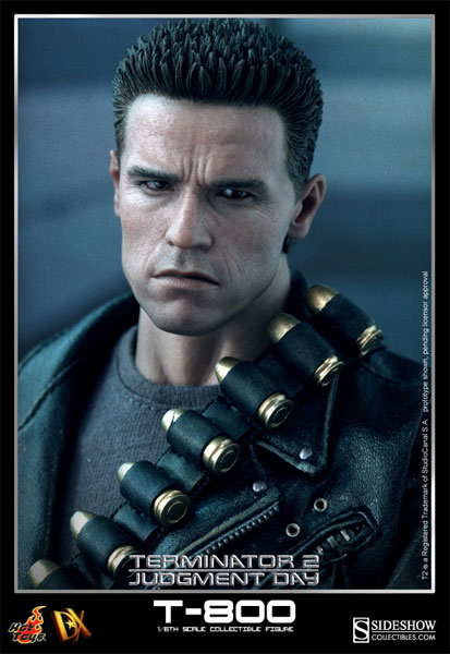 Terminator T-800 Sixth Scale Figure by Hot Toys | Sideshow