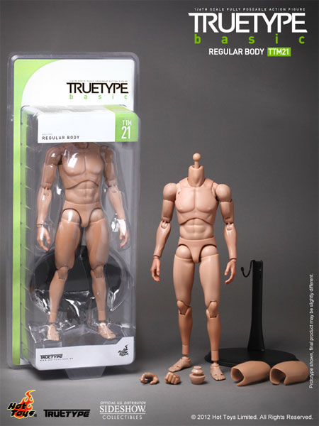 ホットトイズ HOTTOYS レギュラー・ボディー TTM21 TrueType - Regular Body Sixth Scale Figure by Hot Toys | Sideshow