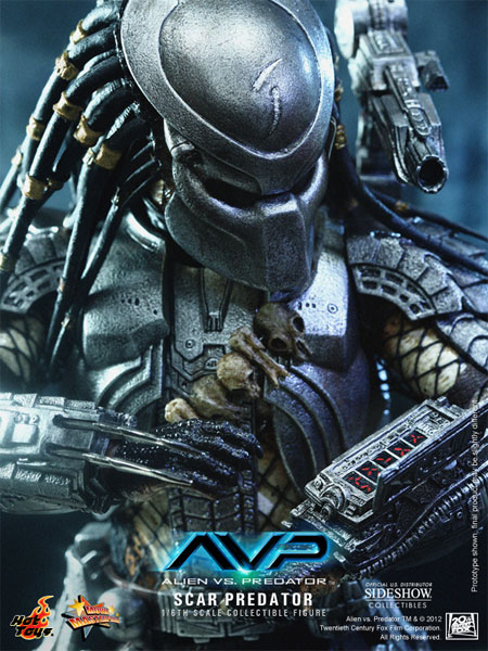 Predator Scar Predator Sixth Scale Figure by Hot Toys | Sideshow