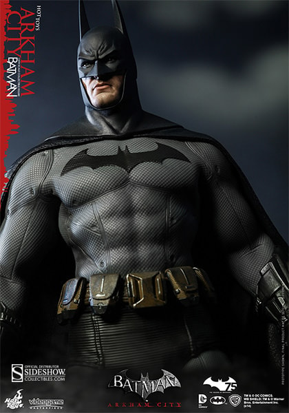 Batman Arkham City View 4