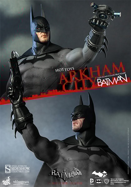Batman Arkham City View 6
