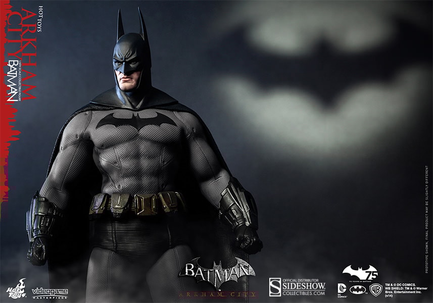Batman Arkham City View 10