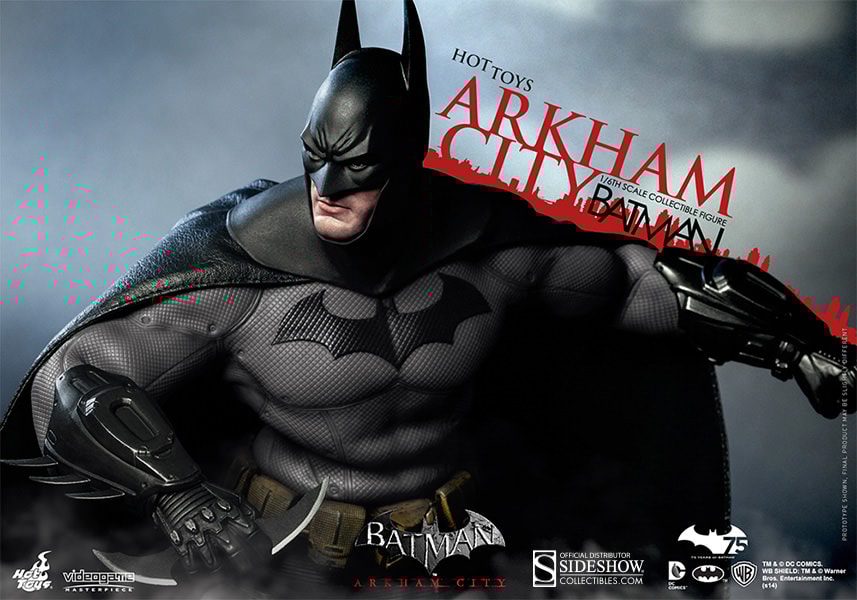 Batman Arkham City View 12