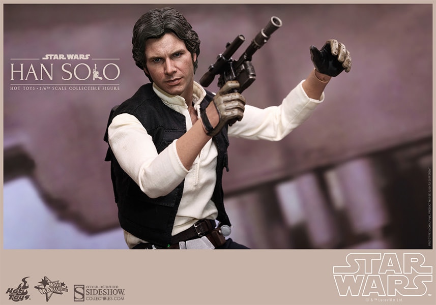 Han Solo and Chewbacca View 19