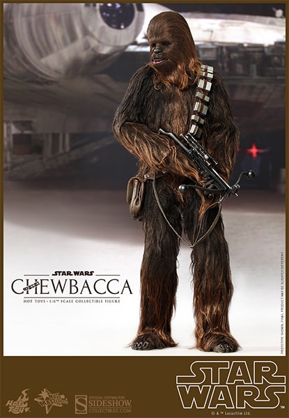 Han Solo and Chewbacca View 11
