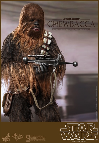 Han Solo and Chewbacca View 9