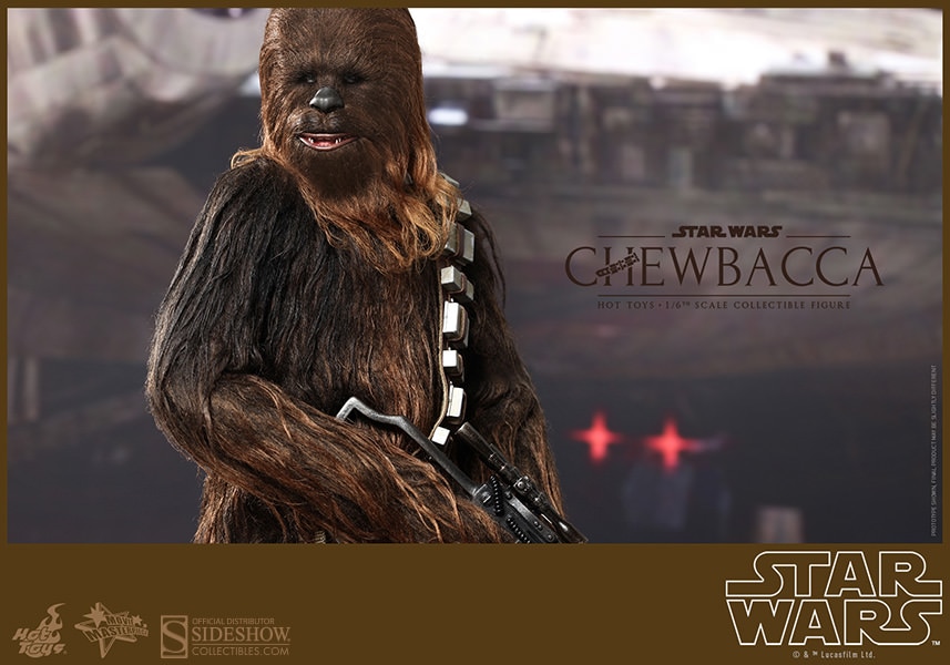 Han Solo and Chewbacca View 5