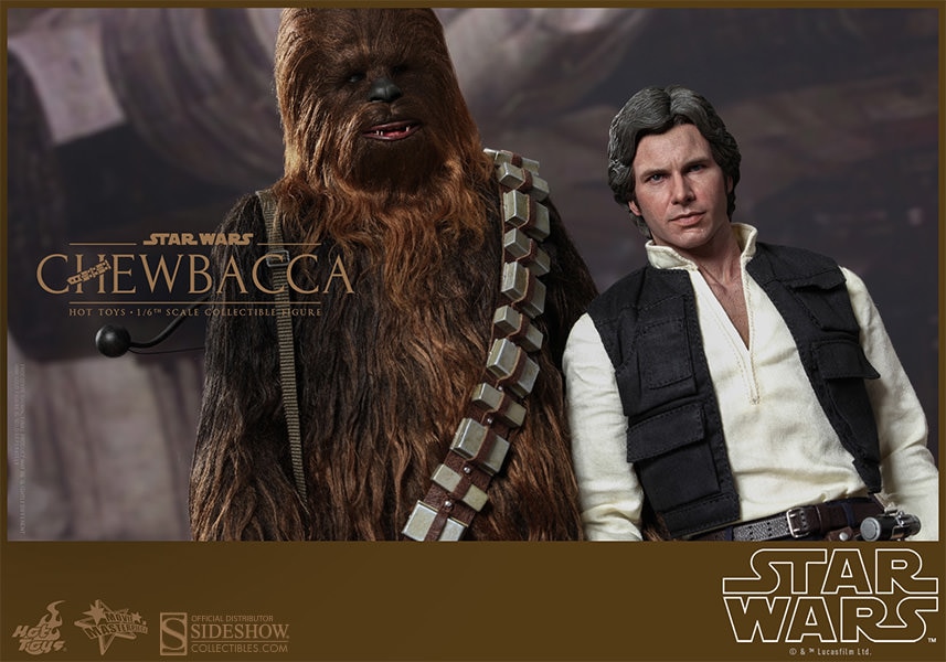 Han Solo and Chewbacca View 24