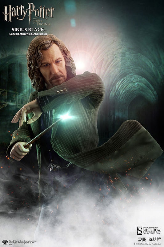 Harry Potter Sirius Black Sixth Scale Figure  (Prototype Shown) View 4