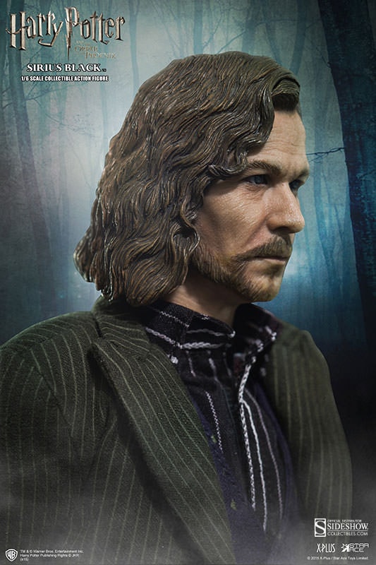 Harry Potter Sirius Black Sixth Scale Figure  (Prototype Shown) View 6