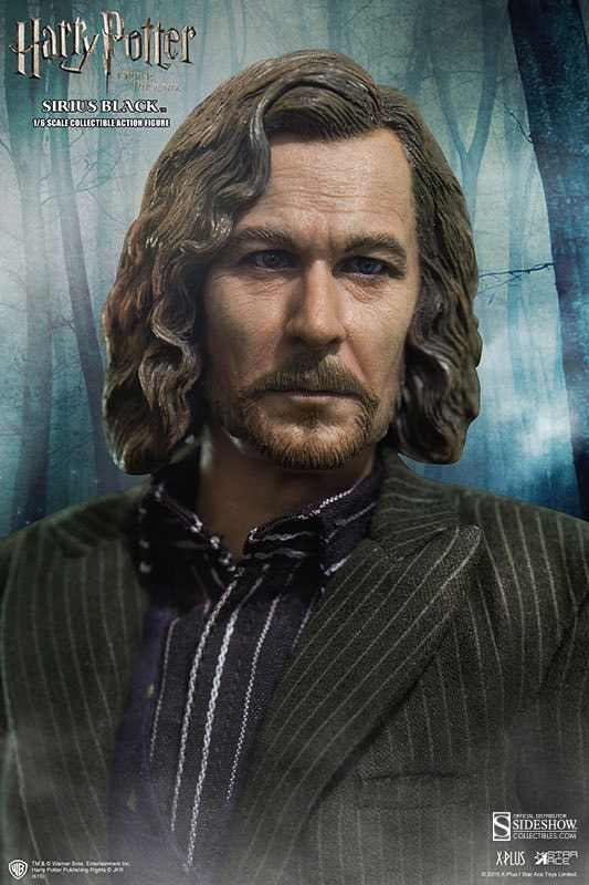 Harry Potter Sirius Black Sixth Scale Figure  (Prototype Shown) View 7