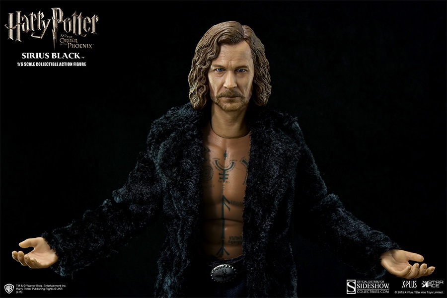 Harry Potter Sirius Black Sixth Scale Figure  (Prototype Shown) View 10
