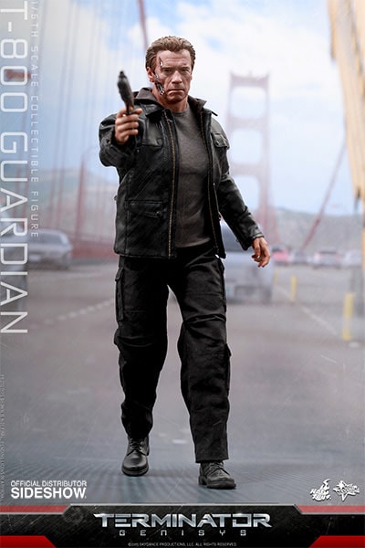 T-800 Guardian (Prototype Shown) View 10