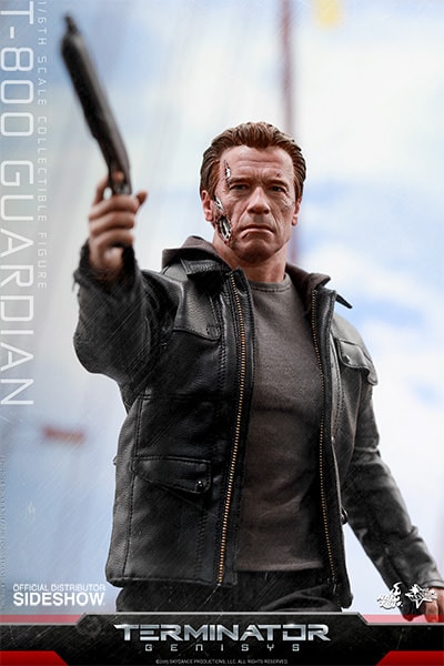 T-800 Guardian (Prototype Shown) View 16