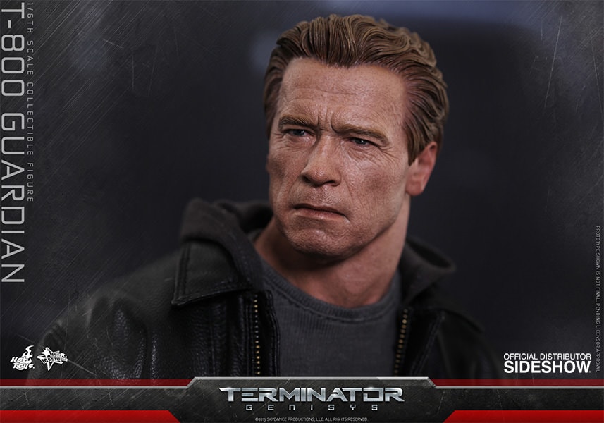 T-800 Guardian (Prototype Shown) View 8