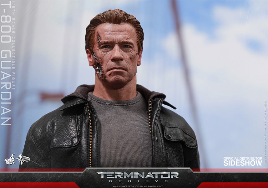 T-800 Guardian (Prototype Shown) View 6